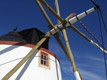 Oeste - M�rio David