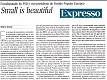 'Small is Beautiful'- Rede diplom�tica: nem sempre o mais �bvio � o que melhor defende o interesse nacional!