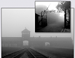 M�rio David nos 65 Anos da Liberta��o de Auschwitz