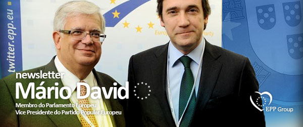 Newsletter M&aacute;rio David